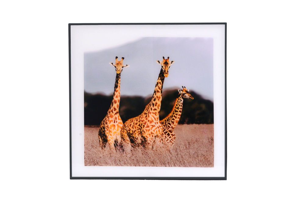Glass Print Wall Art (Giraffes)
